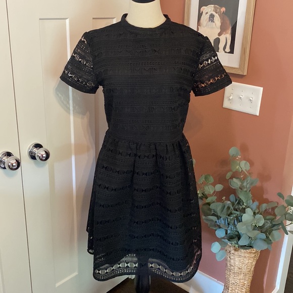 Rachel Parcell Dresses & Skirts - Rachel Parcell Anglaise L Black embroidered overlay fit & flare lined knee dress